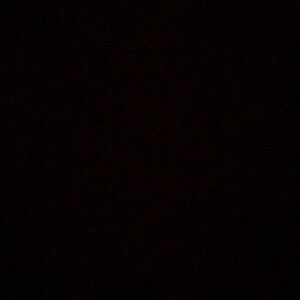 Meet your Posher, Alli